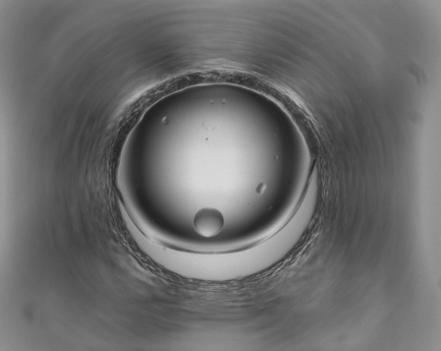 X0000111011112200906261514