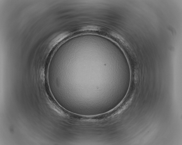 X0000111011113200906261514