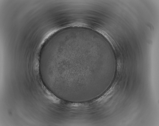 X0000111011115200906261514