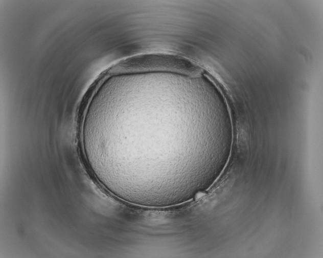 X0000111011116200906261514
