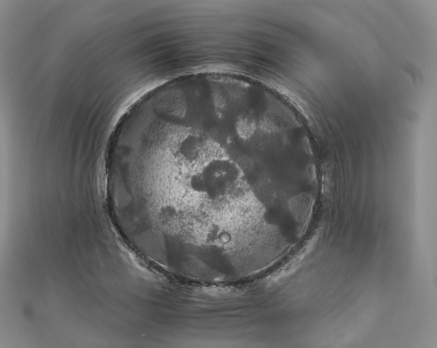 X0000111011117200906261514