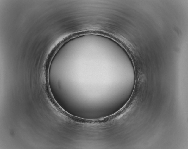 X0000111011118200906261514