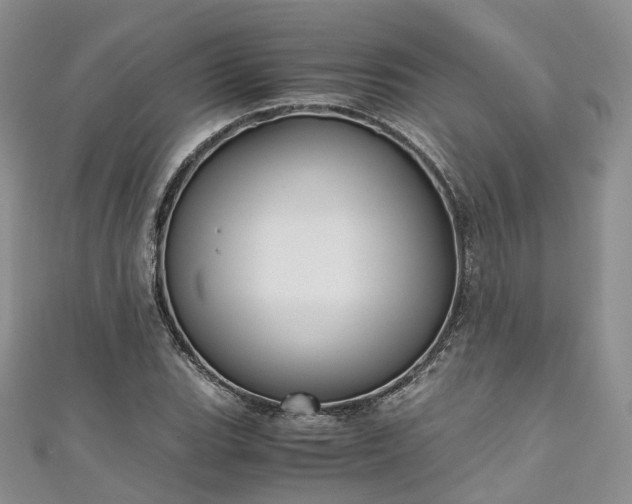 X0000111011119200906261514