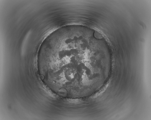 X0000111011121200906261514