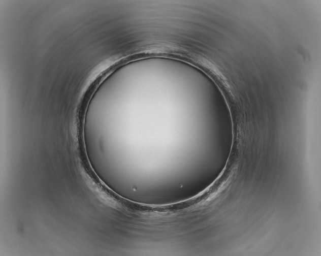 X0000111011122200906261514