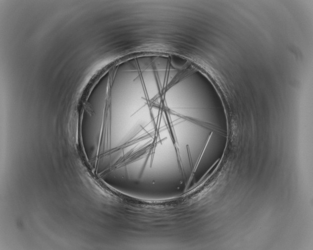 X0000111011123200906261514