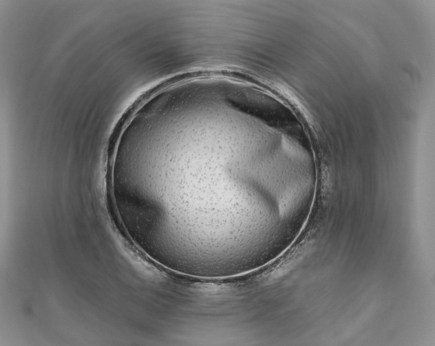 X0000111011124200906261514