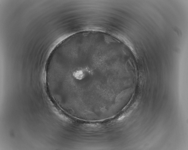 X0000111011125200906261514