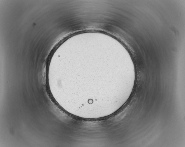 X0000111011126200906261514