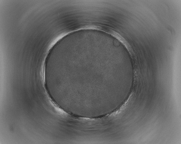 X0000111011127200906261514