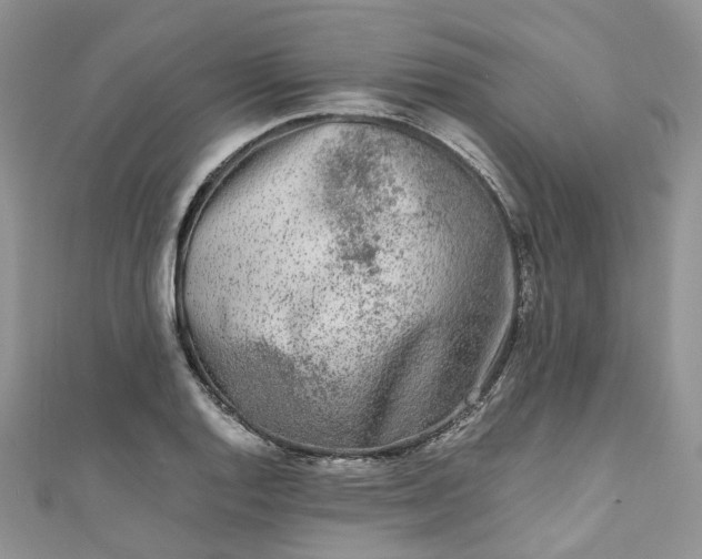 X0000111011128200906261514