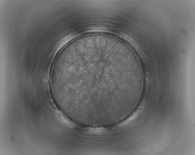 X0000111011129200906261514