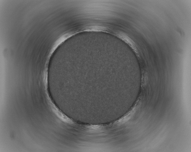 X0000111011130200906261514