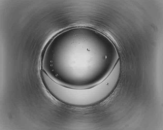 X0000111011132200906261514