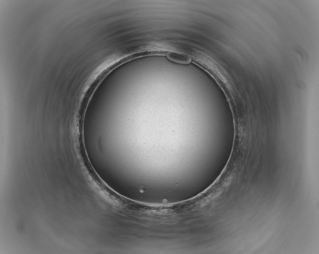 X0000111011133200906261514