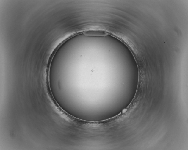 X0000111011134200906261514