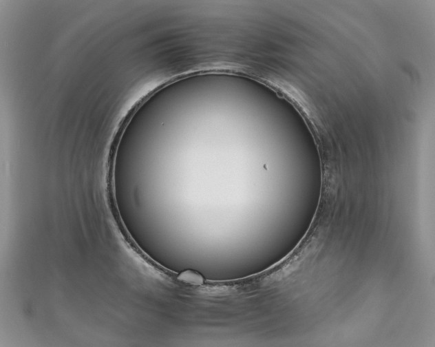 X0000111011135200906261514