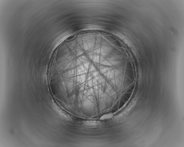 X0000111011137200906261514