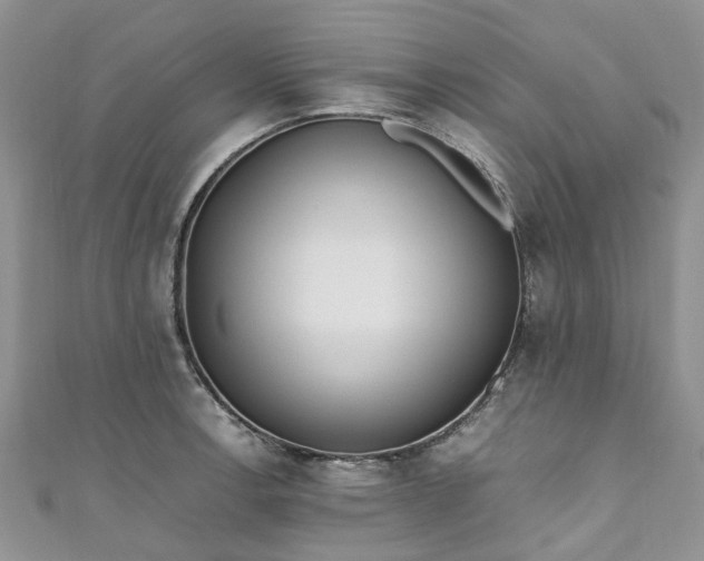X0000111011138200906261514