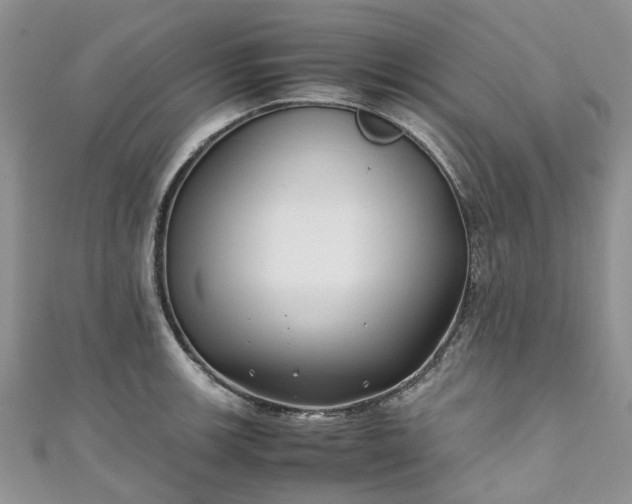 X0000111011139200906261514