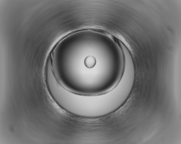 X0000111011140200906261514