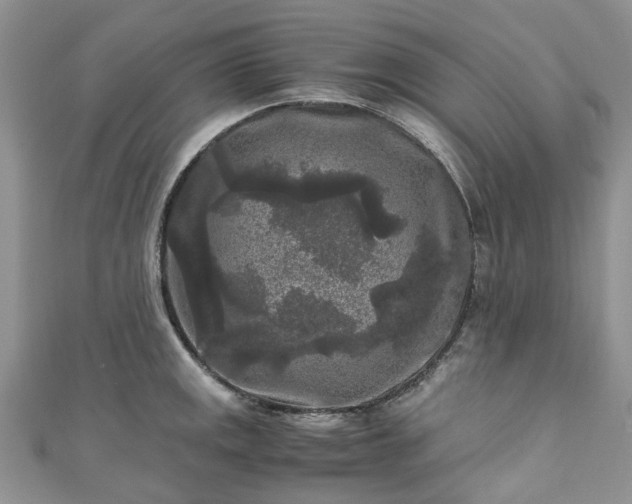 X0000111011141200906261514
