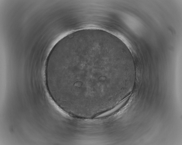 X0000111011142200906261514