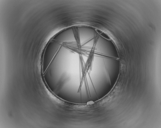 X0000111011143200906261514