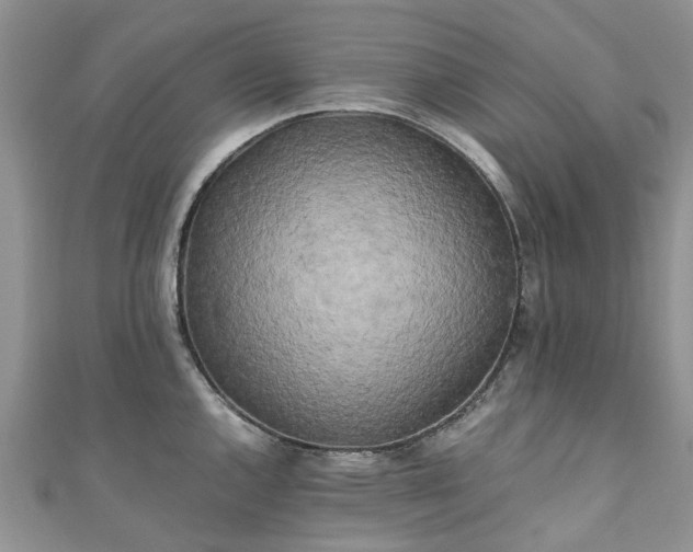 X0000111011144200906261514
