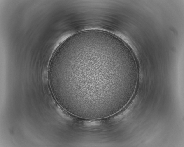 X0000111011145200906261514