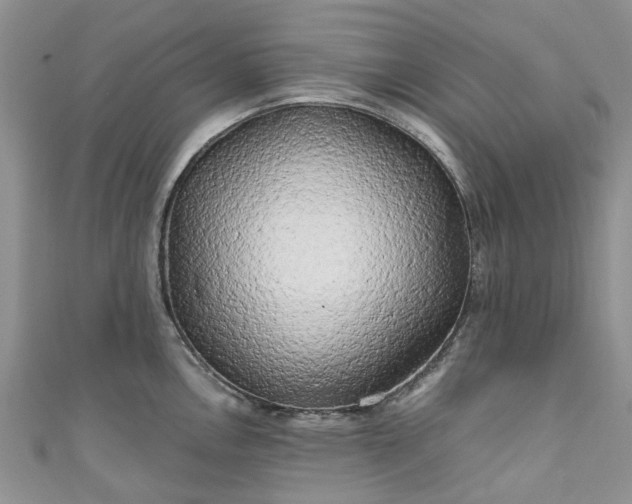 X0000111011146200906261514