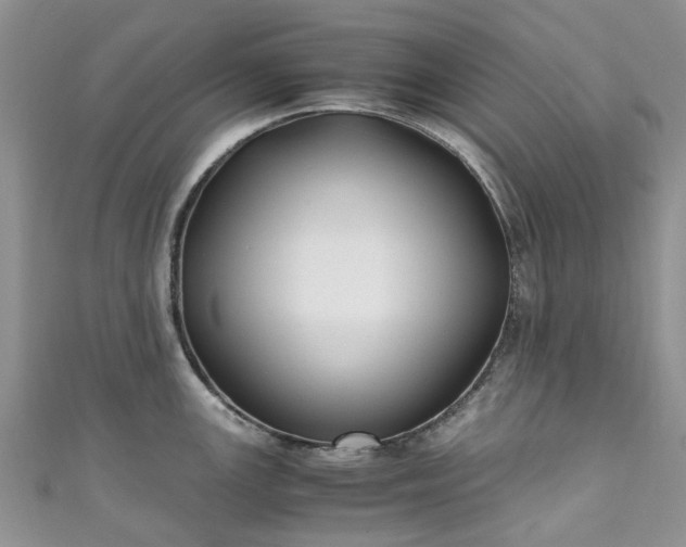 X0000111011147200906261514