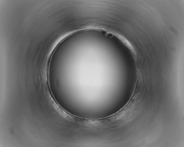 X0000111011148200906261514