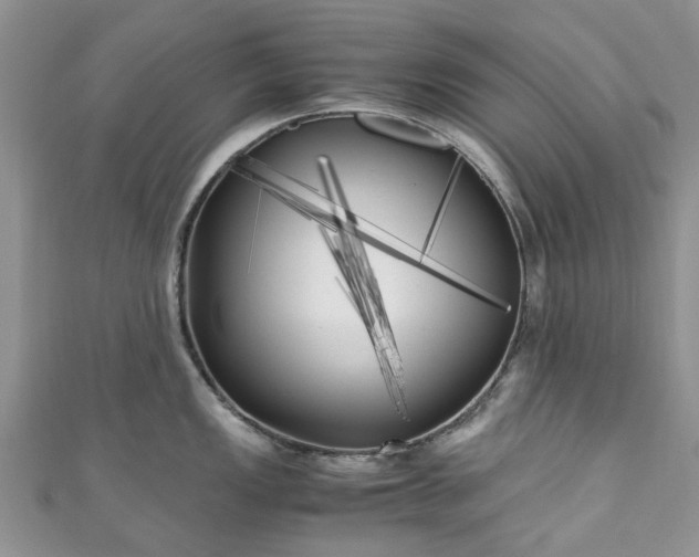 X0000111011149200906261514