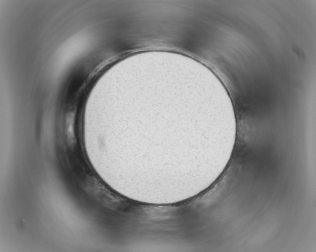 X0000111011150200906261514