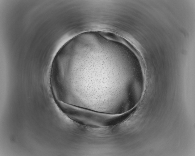 X0000111011152200906261514