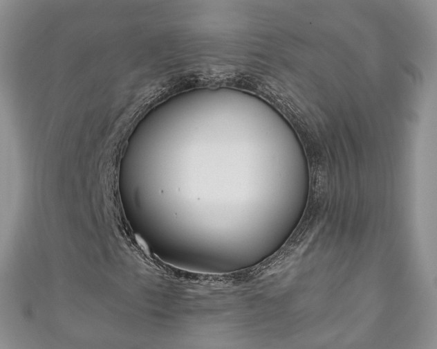X0000111011153200906261513