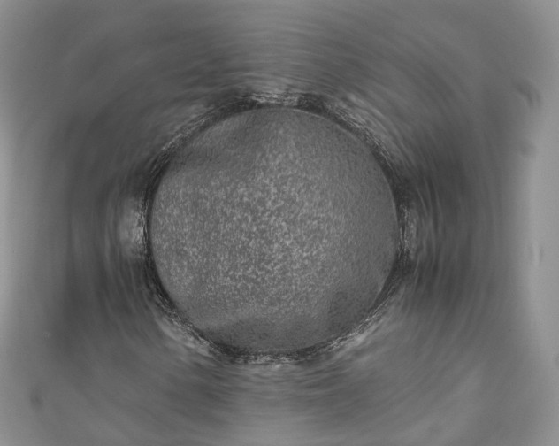 X0000111011154200906261513