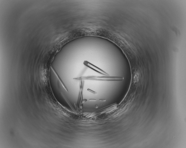 X0000111011156200906261513