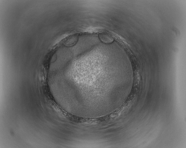 X0000111011158200906261513