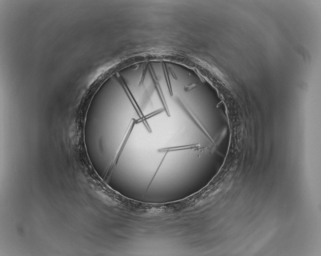 X0000111011160200906261513