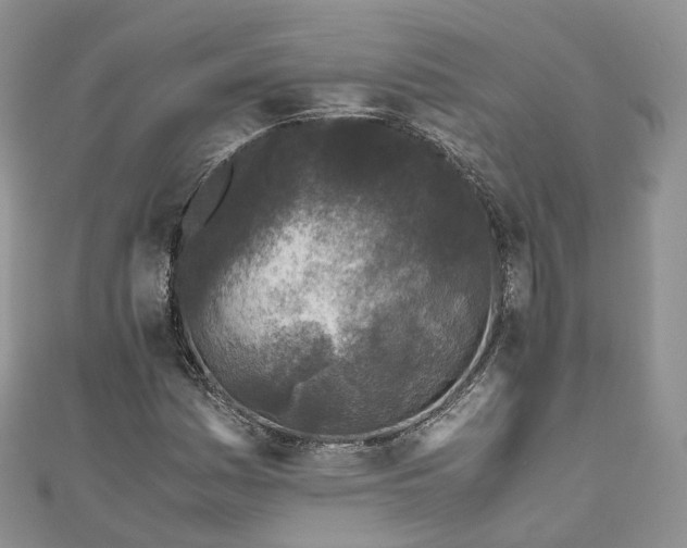 X0000111011161200906261513