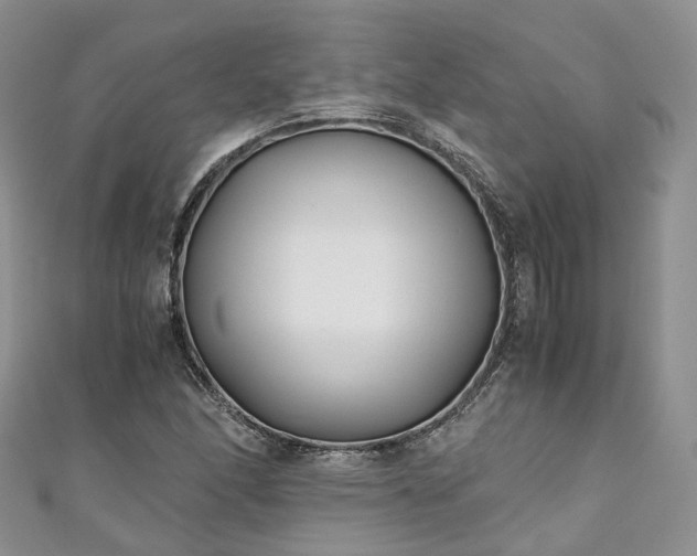 X0000111011166200906261513