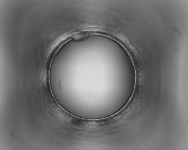 X0000111011167200906261513
