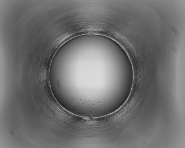 X0000111011169200906261513