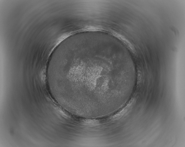 X0000111011170200906261513