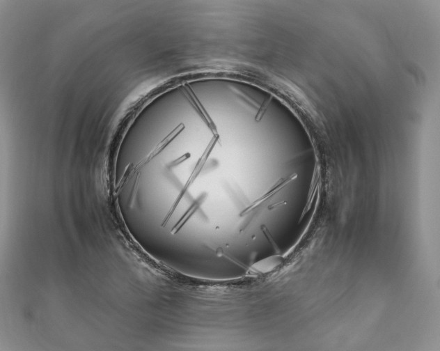 X0000111011172200906261513