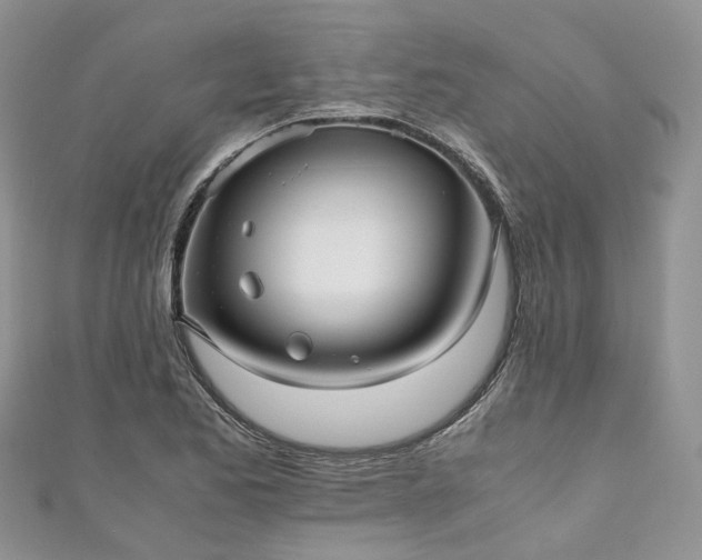 X0000111011173200906261513