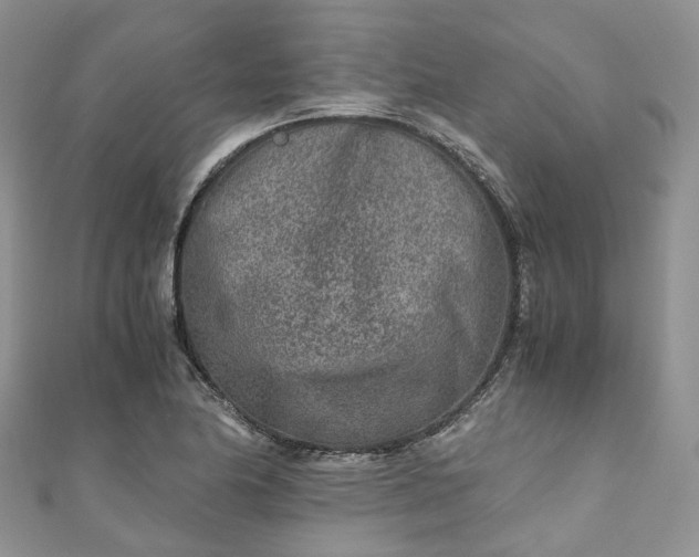 X0000111011174200906261513