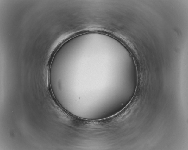 X0000111011175200906261513